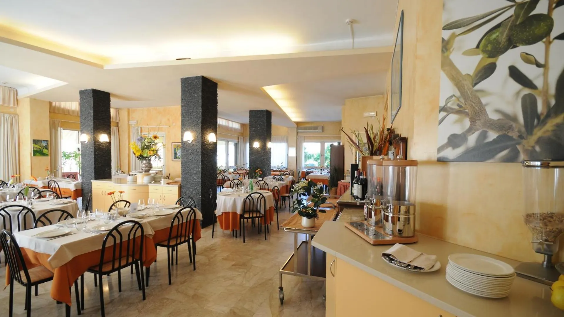 Hotel Olympic Diano Marina 3*,